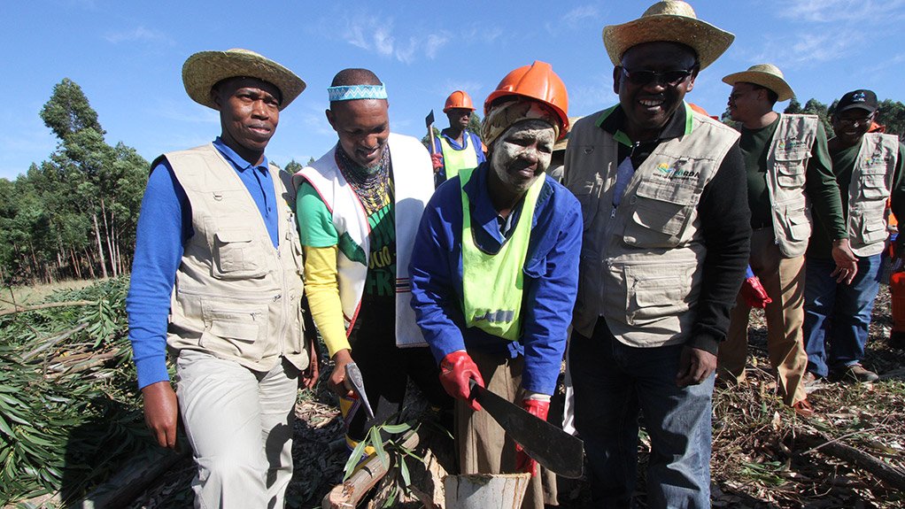 Eastern Cape development agencies’ R113m forestry project nets 2 700 ha new afforestation
