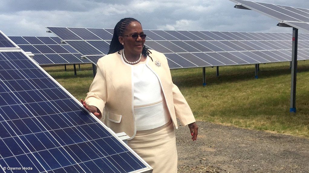 Transport Minister Dipuo Peters at the launch of the George Airport solar power plant in February