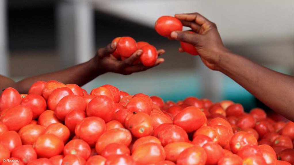 Dürsot Food Corporation opens R100m tomato processing plant 