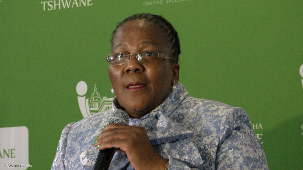Transport Minister Dipuo Peters