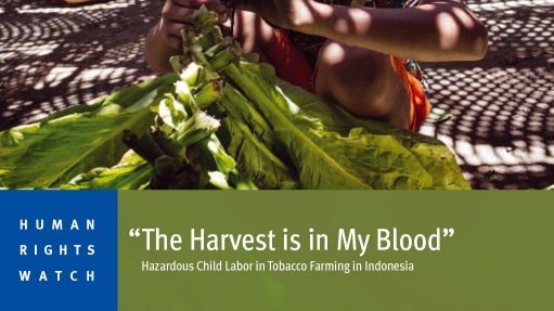 “The Harvest is in My Blood” – Hazardous Child Labor in Tobacco Farming in Indonesia (May 2016)