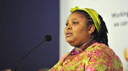 DA: Kobus Marais says DA to lay charges against Mapisa-Nqakula for smuggling Wege into South Africa