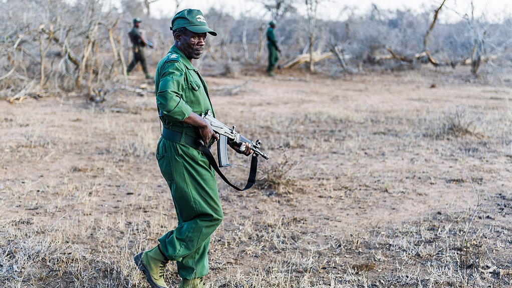 Insights From The Other Side Of The “Rhino War”