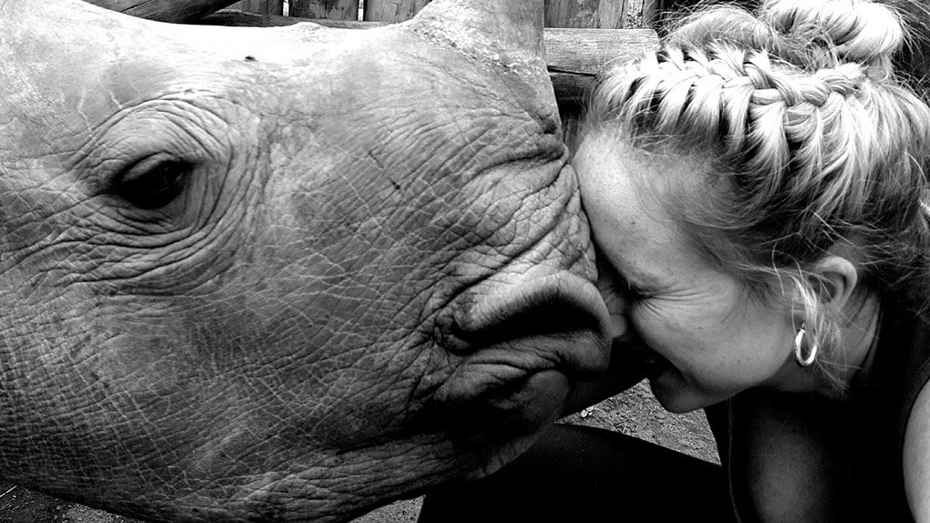 Insights From The Other Side Of The “Rhino War”