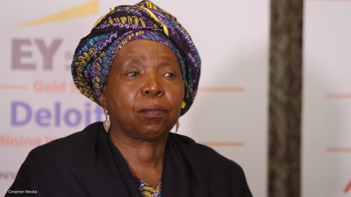 Now is time for Africa to take charge of mining destiny – Dlamini Zuma