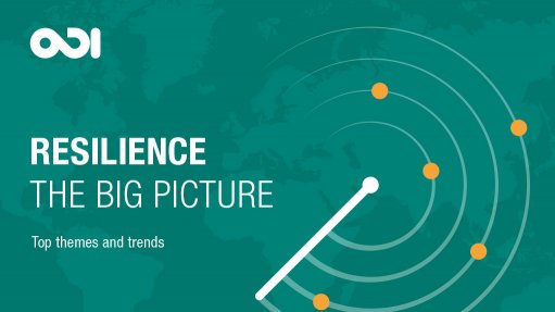 Resilience: the big picture - top themes and trends (June 2016)