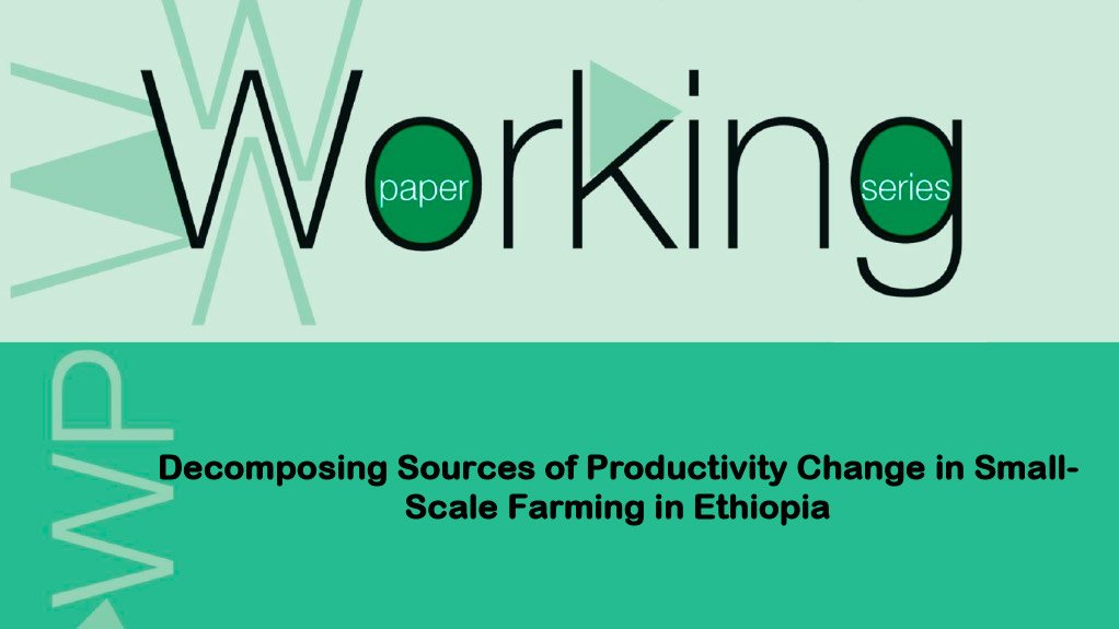 Working Paper 237 - Decomposing Sources of Productivity Change in Small-Scale Farming in Ethiopia (June 2016)