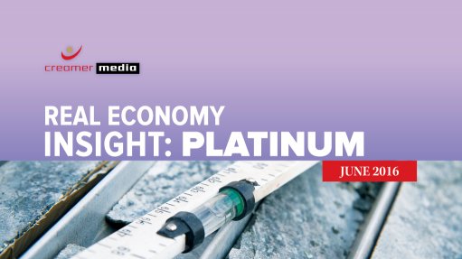 Real Economy Insight 2016: Platinum