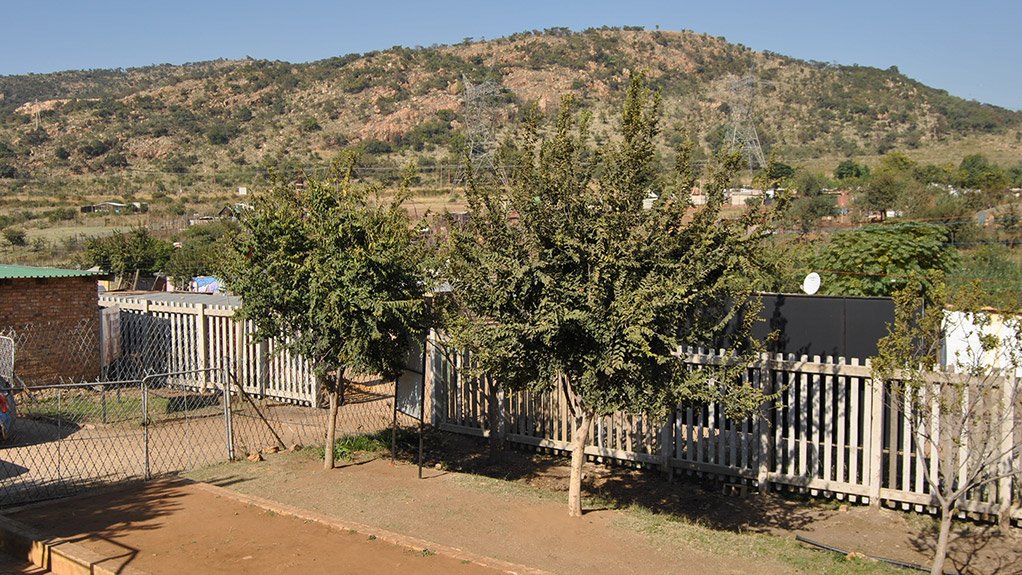Infrastructure Specialist Group Assists The Viva Foundation