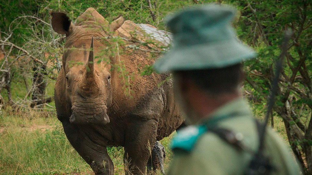 Lives Lost, Rhino War Soldiers Recognised