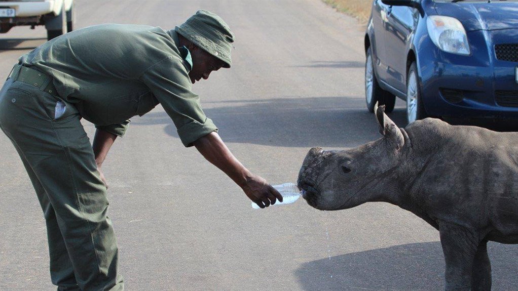 Lives Lost, Rhino War Soldiers Recognised