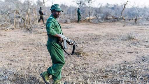 Lives Lost, Rhino War Soldiers Recognised