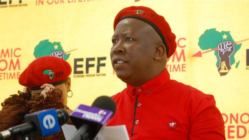 ANC should stop blaming apartheid for not delivering, says Malema