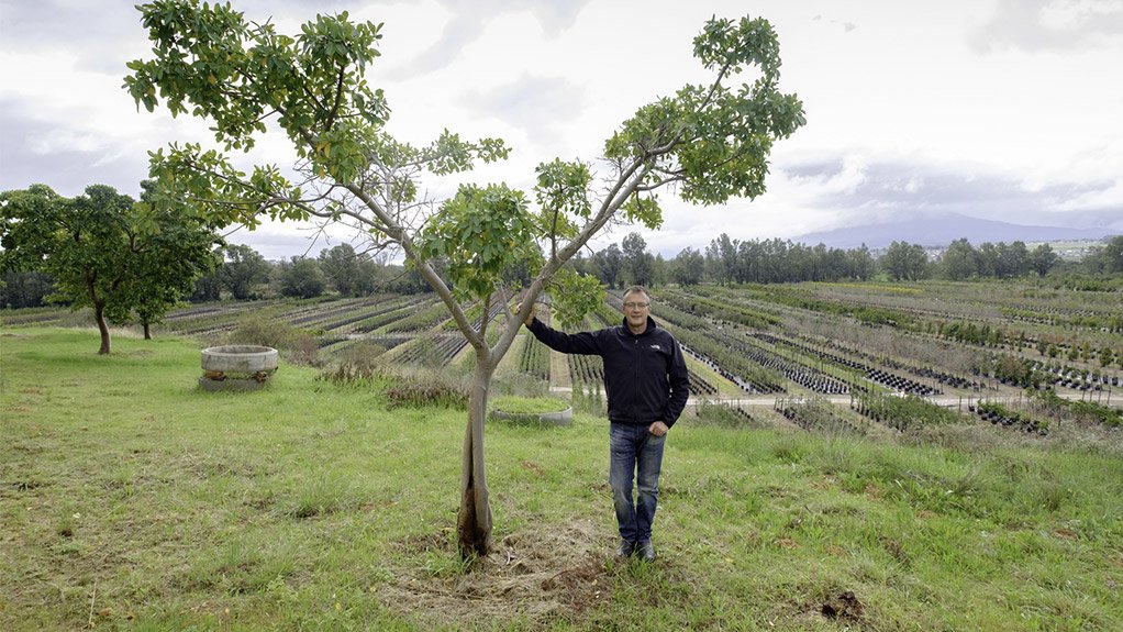 Just Trees owner Carl Pretorius