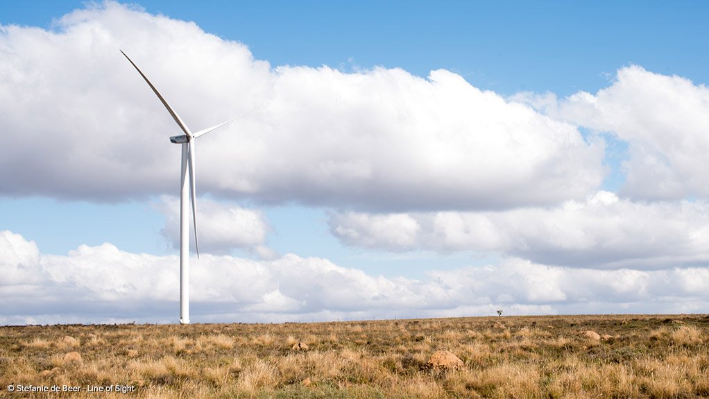 The 134 MW Amakhala Emoyeni Wind Farm