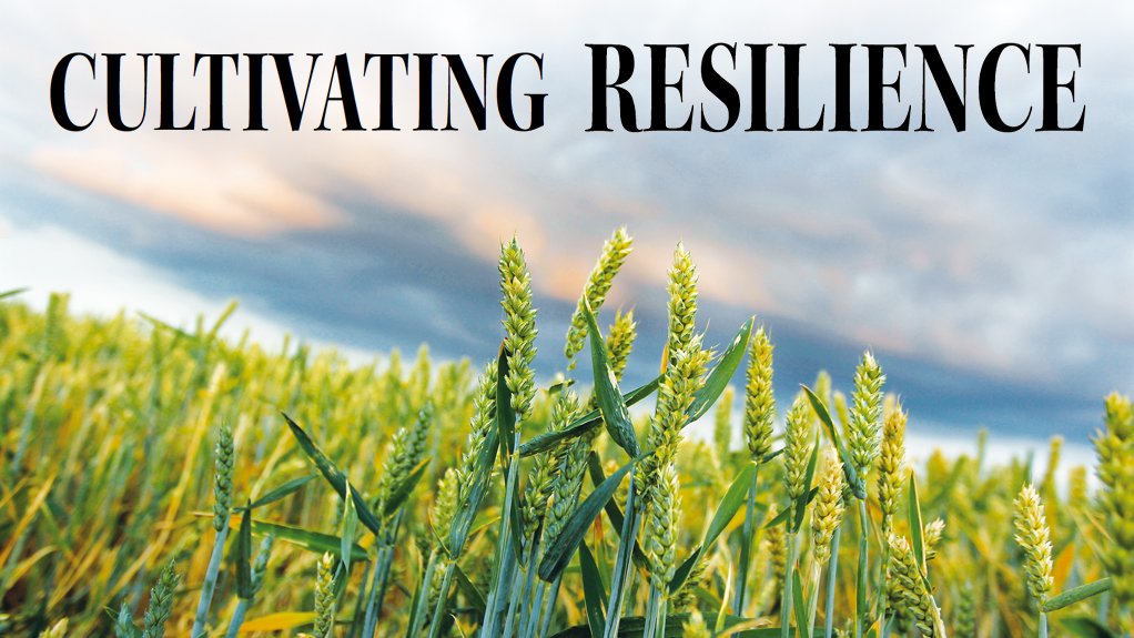 Investing in climate resilience will be key to improving prospects for drought-prone farming sector