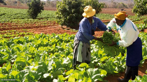 SA: Public hearings at Addo reveal plight of farm workers