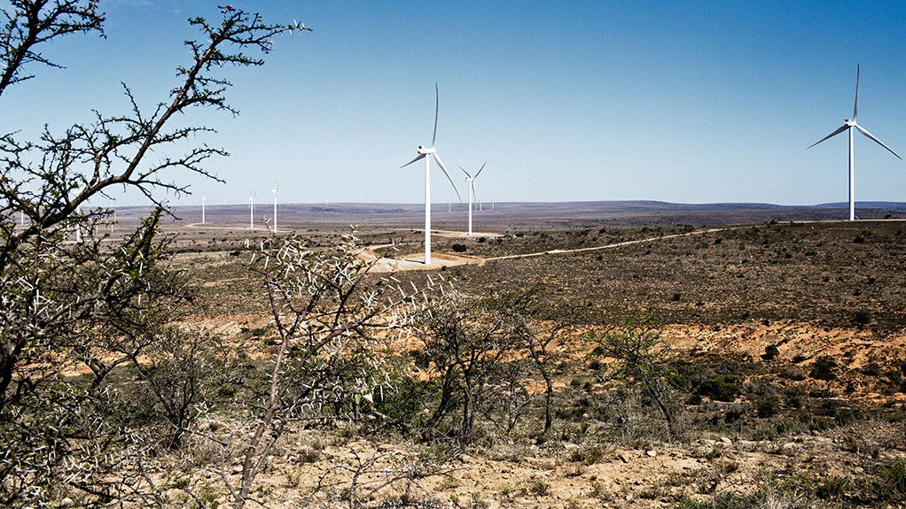 Awareness low of South Africa’s ‘astounding’ renewables success, US survey finds