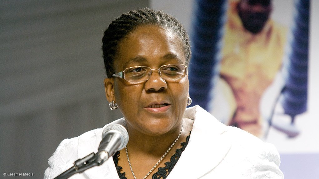 Transport Minister Dipuo Peters 