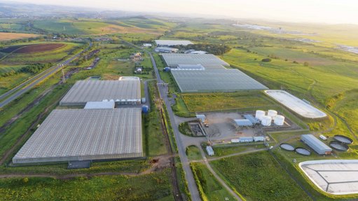 DUBE TRADEPORT
The Dube AgriZone is intended to act as a catalyst for high-value agribusiness in Kwa-Zulu Natal