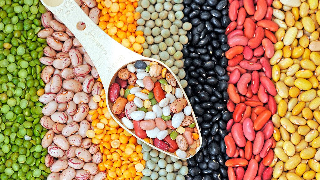 Global pulse day celebrations highlight importance of pulses