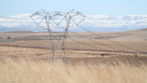 Eskom courts energy-intensive firms as it promises surplus to 2021