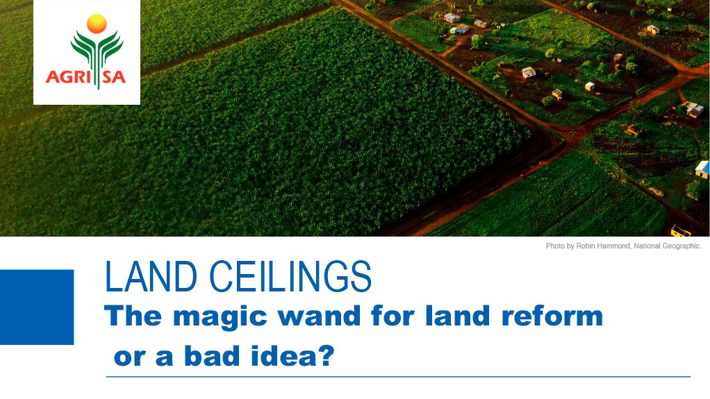 Land Ceilings: The magic wand for land reform or a bad idea?