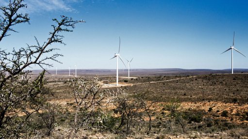 NOJOLI WIND FARM Enel Green Power's global renewable energies division completed more than 470 MW of solar and wind projects locally, including the 88 MW Nojoli wind farm