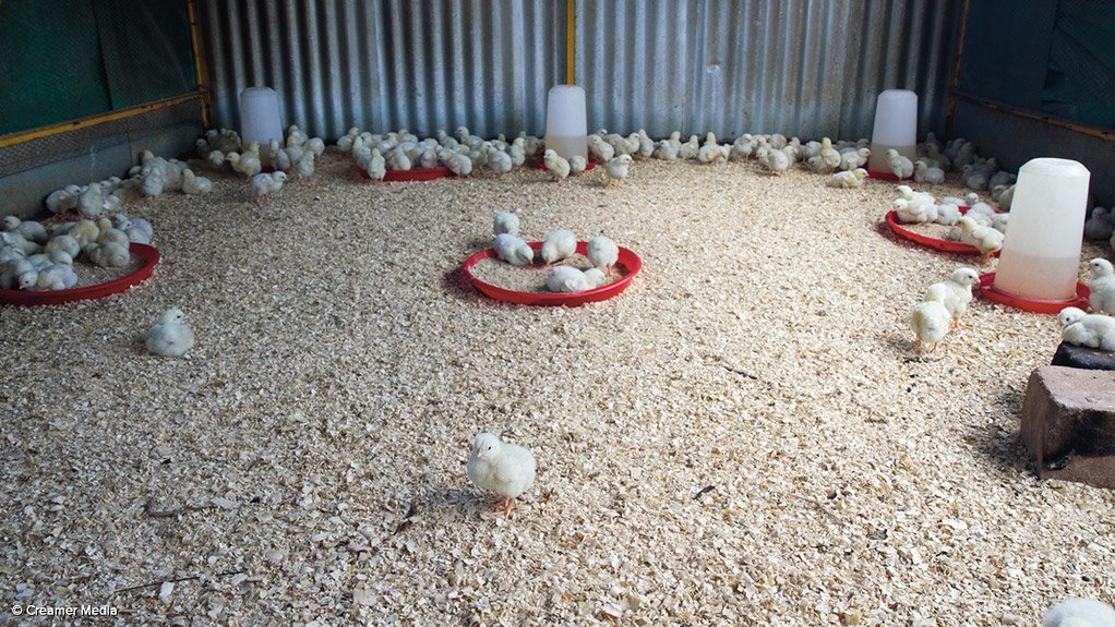 Association highlights the negative impact of poultry imports on the feed industry