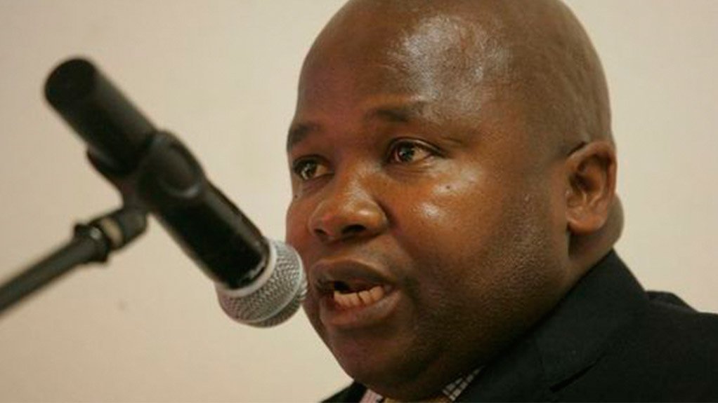 Minister of Cooperative Governance and Traditional Affairs Des van Rooyen