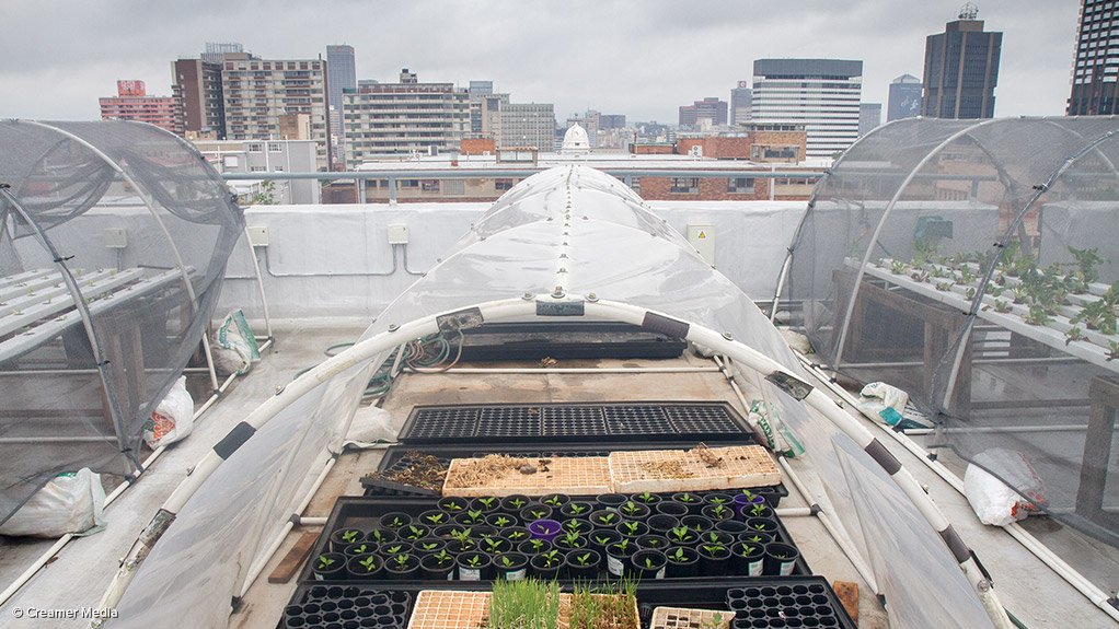 CITY SEEDLINGS
The City of Johannesburg will open two more rooftop gardens in the inner city this year