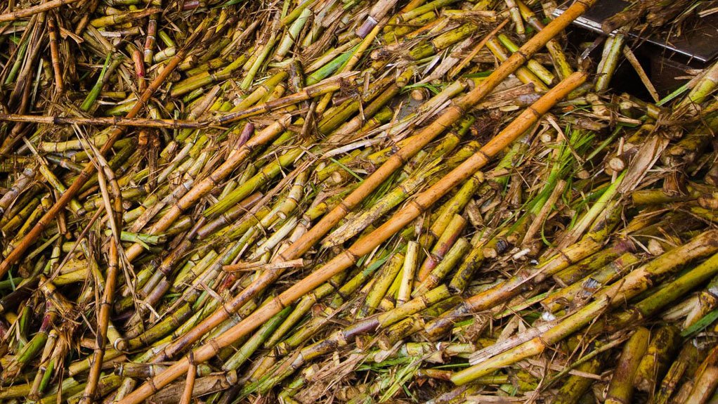 RESPONSIBLE SOURCING
Bonsucro Connect will enable buyers to trace their supply and develop robust sourcing strategies to support producers of sustainable sugar cane-derived products
