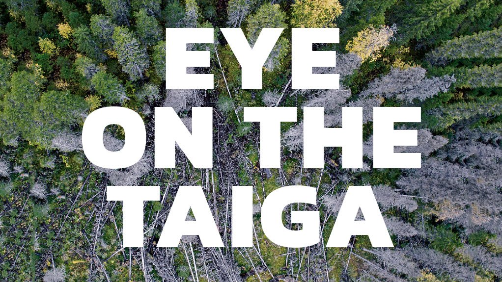 Eye on the Taiga – How industry’s claimed 'sustainable forestry' in Russia is destroying the Great Northern Forest