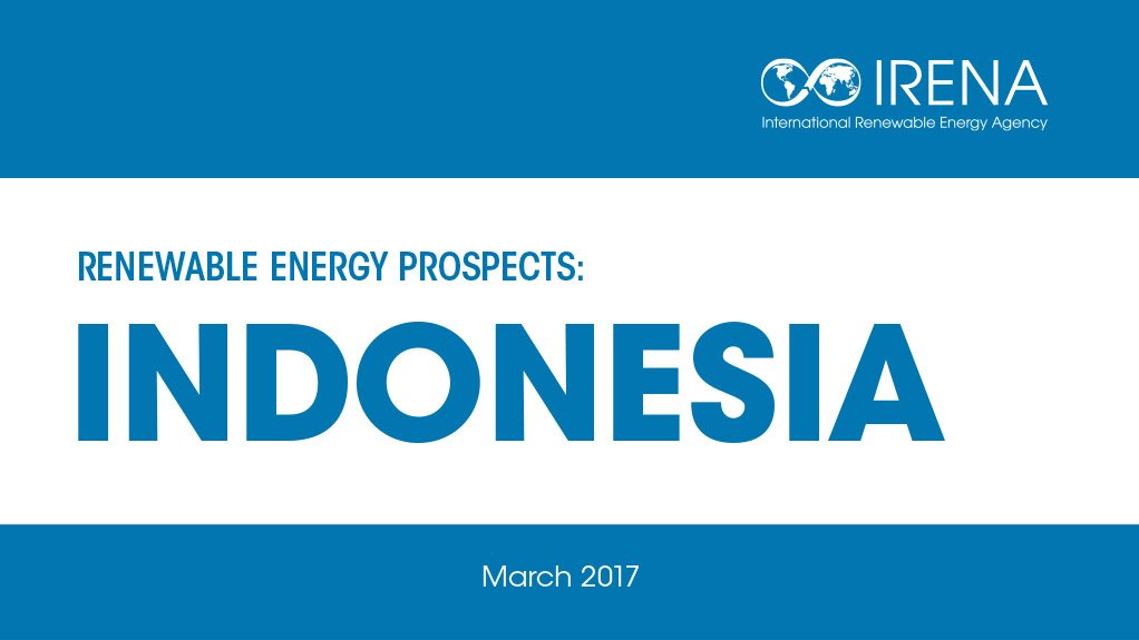 Renewable Energy Prospects: Indonesia 