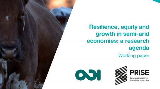 Resilience, equity and growth in semi-arid economies: a research agenda