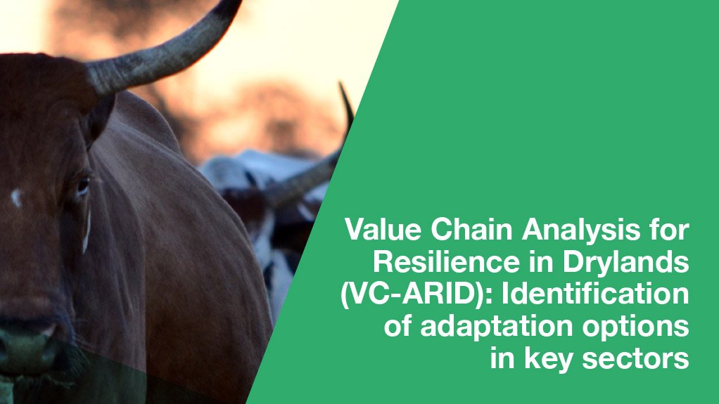 Value Chain Analysis for Resilience in Drylands: identification of adaptation options in key sectors