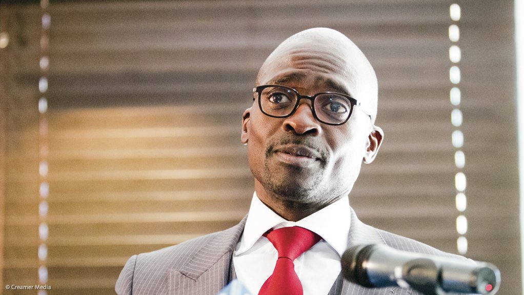 Newly appointed Finance Minister Malusi Gigaba