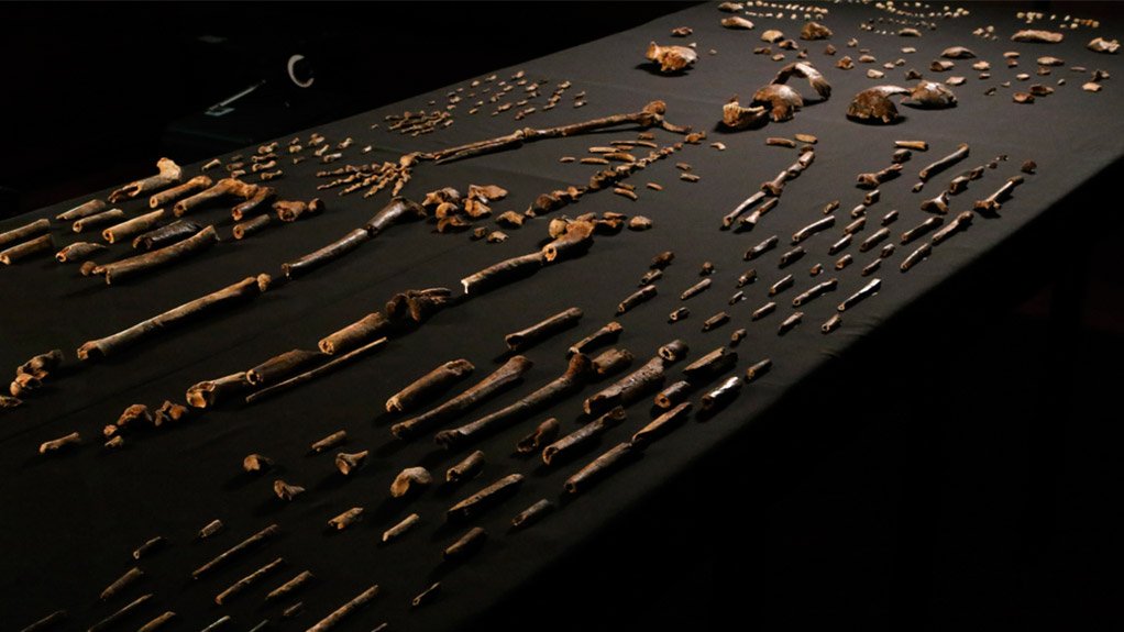 FOSSIL REMAINS
About 1 500 individual fossil remains, of about 15 individuals from juvenile to adult ages, have been discovered in the Rising Star cave system in the Cradle of Humankind