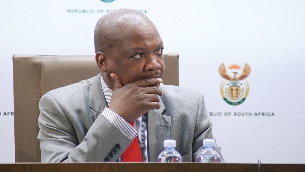 DoE director-general Thabane Zulu seconded to SFF as acting CEO