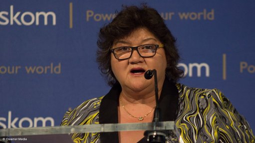 Public Enterprises Minister Lynne Brown