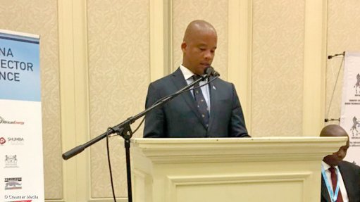 Botswana determined to become investor friendly – Minister