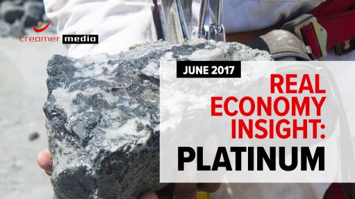 Real Economy Insight 2017: Platinum