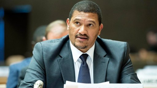 Reject thuggery happening in your name, Fransman tells Ramaphosa