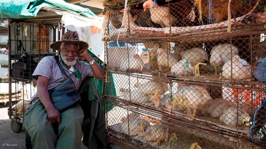 SA bans sale of live chickens – for now