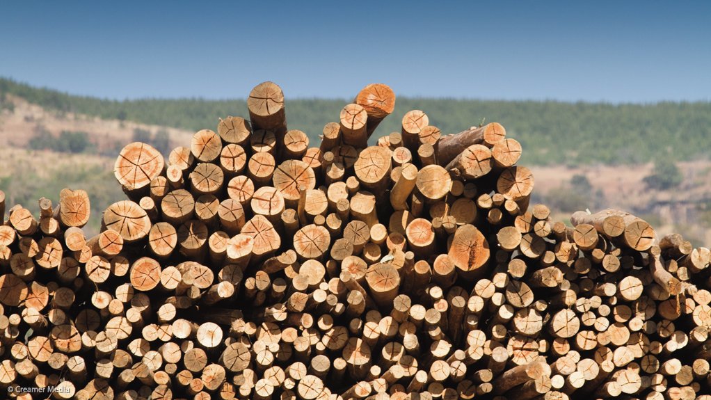 Forestry sector joins forces to mitigate impact of wildfires on plantations