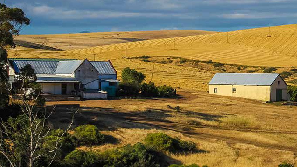 Responding to South Africa’s Rural Development Challenge - Policy Brief 1