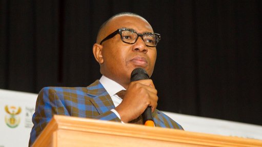 I know my actions disappointed and hurt South Africans - Manana