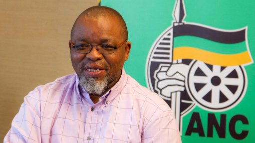 Khoza 'playing to the gallery' in ditching hearing - Mantashe