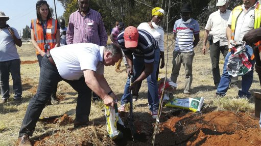 First indigenous tree species planted on West Rand sand dump