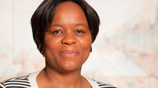 SA: MEC Gwen Ramokgopa briefs Gauteng Legislature on M1 South incident 